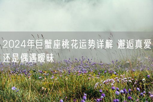 2024年巨蟹座桃花运势详解 邂逅真爱还是偶遇暧昧(图1)