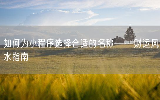 如何为小程序选择合适的名称——财运风水指南(图1)