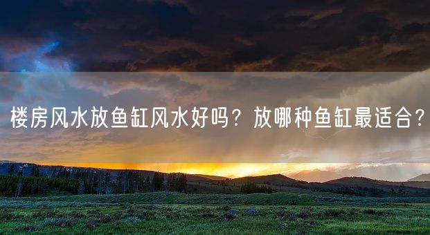 楼房风水放鱼缸风水好吗？放哪种鱼缸最适合？(图1)