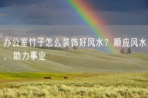 办公室竹子怎么装饰好风水？顺应风水，助力事业(图1)