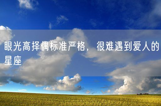 眼光高择偶标准严格，很难遇到爱人的星座(图1)