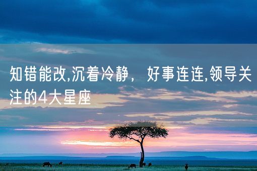 知错能改,沉着冷静，好事连连,领导关注的4大星座(图1)