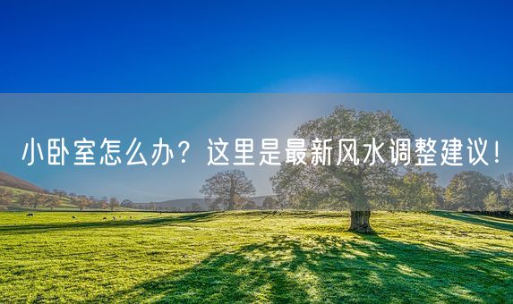 小卧室怎么办？这里是最新风水调整建议！(图1)