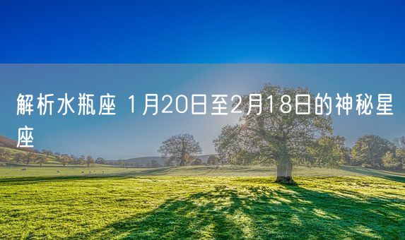 解析水瓶座 1月20日至2月18日的神秘星座(图1)