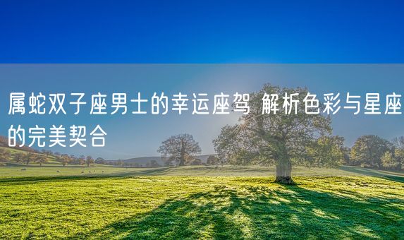 属蛇双子座男士的幸运座驾 解析色彩与星座的完美契合(图1)