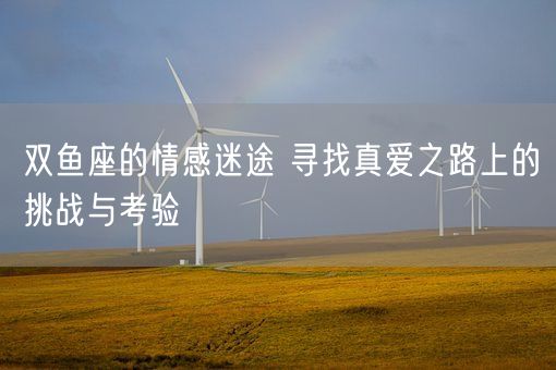 双鱼座的情感迷途 寻找真爱之路上的挑战与考验(图1)