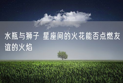 水瓶与狮子 星座间的火花能否点燃友谊的火焰(图1)