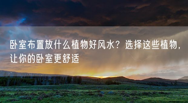 卧室布置放什么植物好风水？选择这些植物，让你的卧室更舒适(图1)