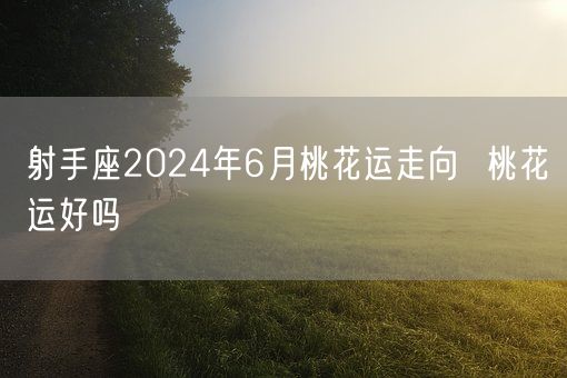 射手座2024年6月桃花运走向  桃花运好吗(图1)