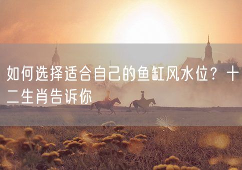 如何选择适合自己的鱼缸风水位？十二生肖告诉你(图1)