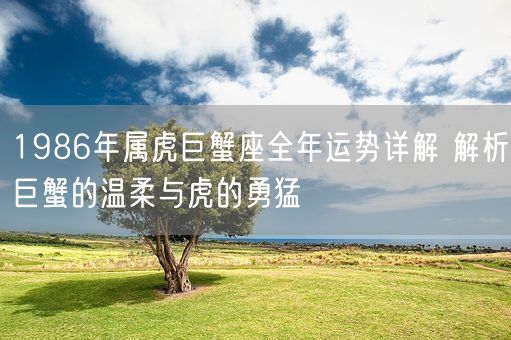 1986年属虎巨蟹座全年运势详解 解析巨蟹的温柔与虎的勇猛(图1)