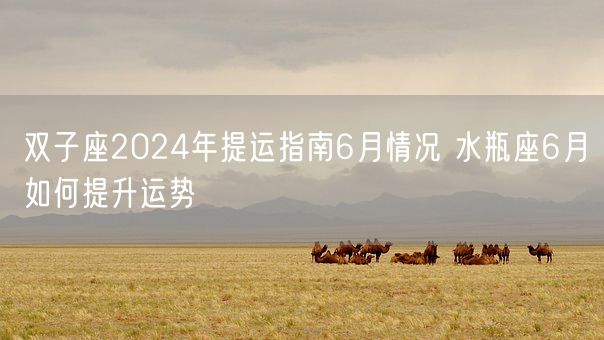 双子座2024年提运指南6月情况 水瓶座6月如何提升运势(图1)