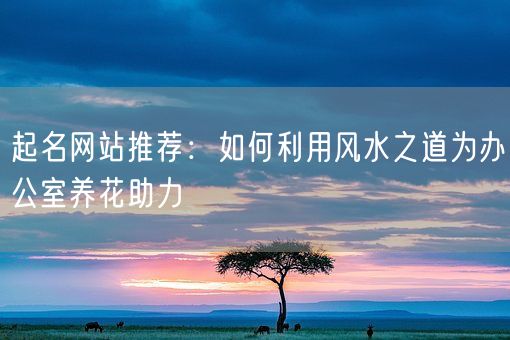 起名网站推荐：如何利用风水之道为办公室养花助力(图1)