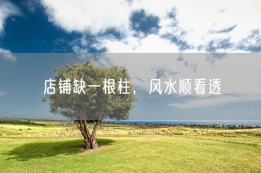 店铺缺一根柱，风水顺看透(图1)