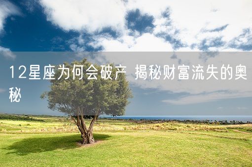 12星座为何会破产 揭秘财富流失的奥秘(图1)