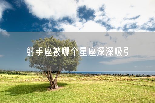 射手座被哪个星座深深吸引(图1)