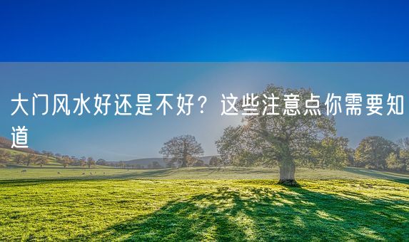 大门风水好还是不好？这些注意点你需要知道(图1)