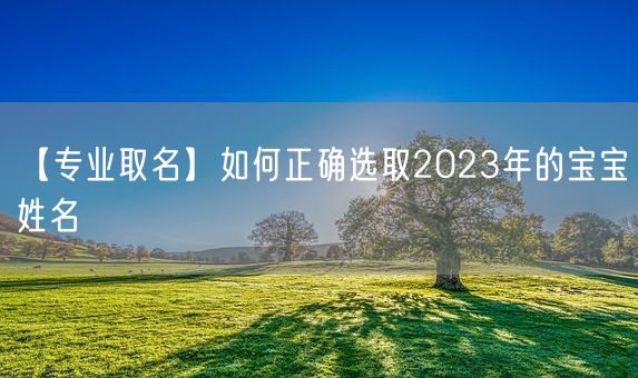 【专业取名】如何正确选取2023年的宝宝姓名(图1)