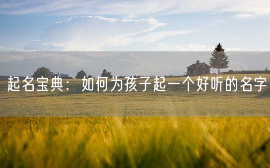 起名宝典：如何为孩子起一个好听的名字(图1)