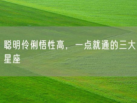 聪明伶俐悟性高,一点就通的三大星座(图1) 聪明伶俐悟性高,一点就通的三大星座(图1)