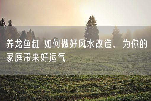养龙鱼缸 如何做好风水改造，为你的家庭带来好运气(图1)