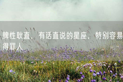 脾性耿直，有话直说的星座，特别容易得罪人(图1)