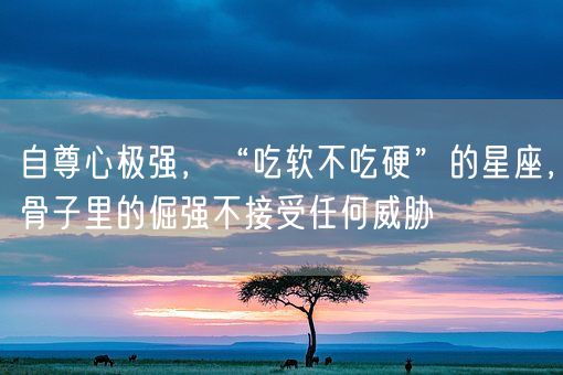 自尊心极强，“吃软不吃硬”的星座，骨子里的倔强不接受任何威胁(图1)