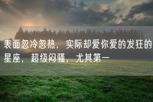 表面忽冷忽热，实际却爱你爱的发狂的星座，超级闷骚，尤其第一(图1)