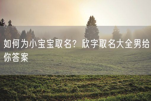 如何为小宝宝取名？欣字取名大全男给你答案(图1)