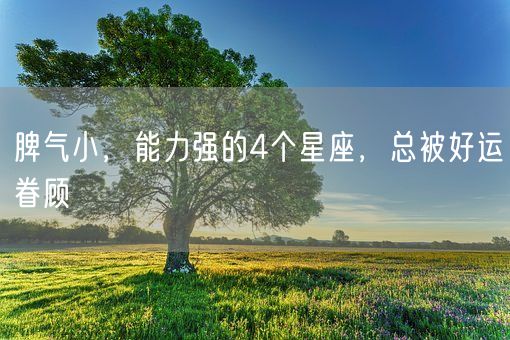 脾气小，能力强的4个星座，总被好运眷顾(图1)