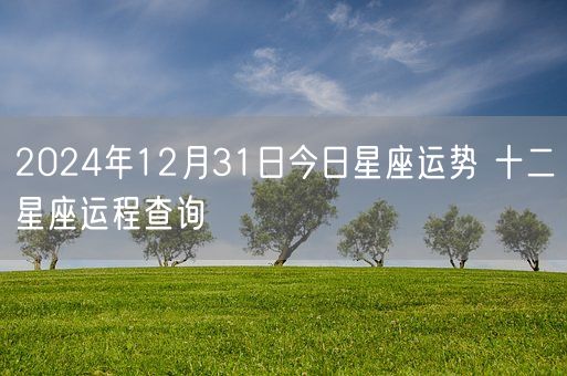 2024年12月31日今日星座运势 十二星座运程查询(图1)