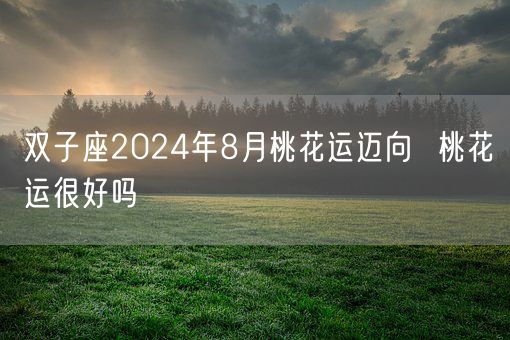 双子座2024年8月桃花运迈向  桃花运很好吗(图1)