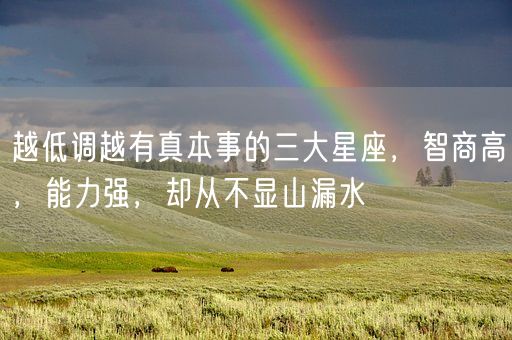 越低调越有真本事的三大星座，智商高，能力强，却从不显山漏水(图1)