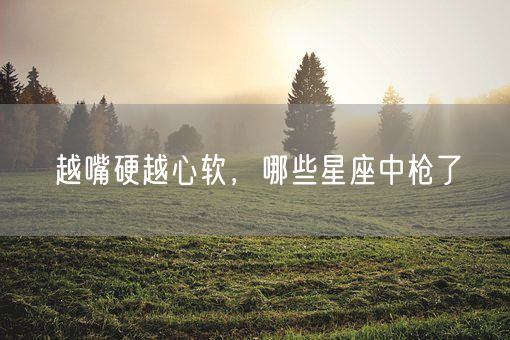 越嘴硬越心软，哪些星座中枪了(图1)