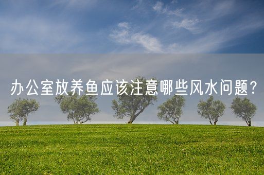 办公室放养鱼应该注意哪些风水问题？(图1)