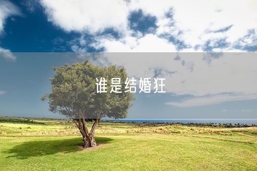 谁是结婚狂(图1)