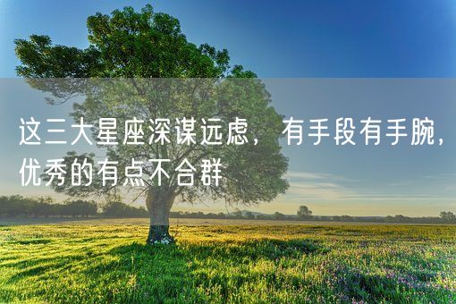 这三大星座深谋远虑，有手段有手腕，优秀的有点不合群(图1)