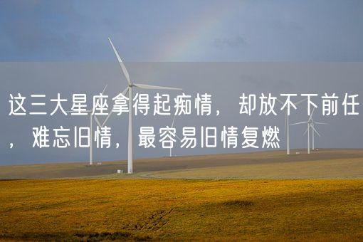 这三大星座拿得起痴情,却放不下前任,难忘旧情,最容易旧情复燃(图1) 这三大星座拿得起痴情,却放不下前任,难忘旧情,最容易旧情复燃(图1)