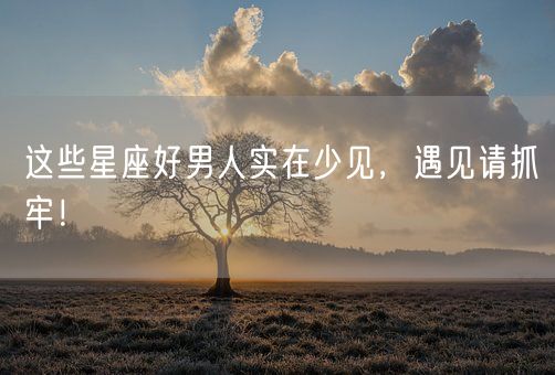 这些星座好男人实在少见,遇见请抓牢!(图1) 这些星座好男人实在少见,遇见请抓牢!(图1)