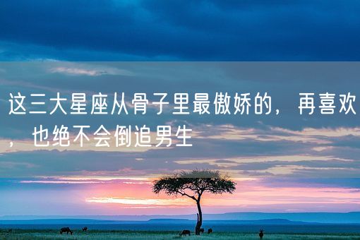 这三大星座从骨子里最傲娇的,再喜欢,也绝不会倒追男生(图1) 这三大星座从骨子里最傲娇的,再喜欢,也绝不会倒追男生(图1)