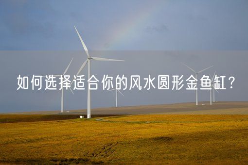 如何选择适合你的风水圆形金鱼缸？(图1)