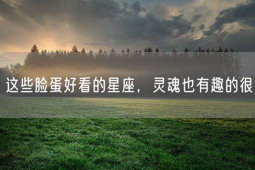 这些脸蛋好看的星座,灵魂也有趣的很(图1) 这些脸蛋好看的星座,灵魂也有趣的很(图1)