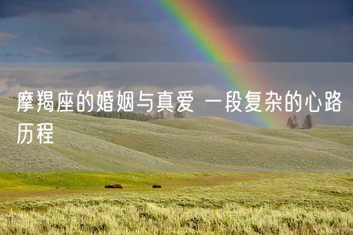 摩羯座的婚姻与真爱 一段复杂的心路历程(图1)