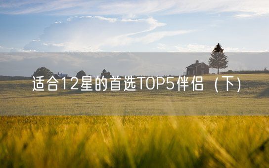 适合12星的首选TOP5伴侣（下）(图1)