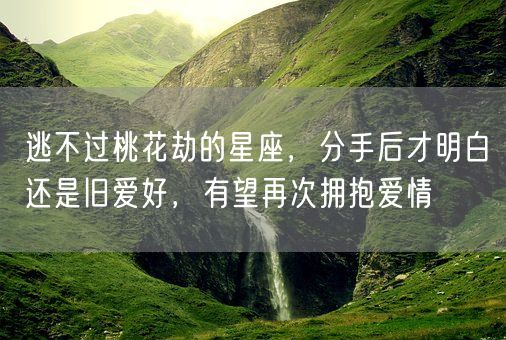 逃不过桃花劫的星座，分手后才明白还是旧爱好，有望再次拥抱爱情(图1)