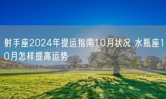 射手座2024年提运指南10月状况 水瓶座10月怎样提高运势(图1)