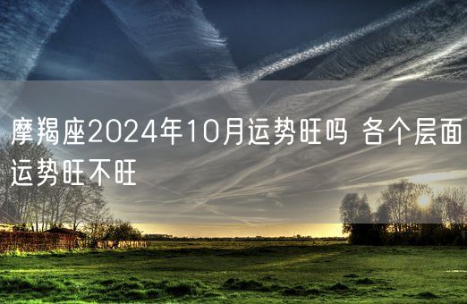 摩羯座2024年10月运势旺吗 各个层面运势旺不旺(图1)