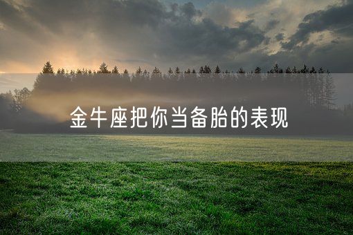 金牛座把你当备胎的表现(图1) 金牛座把你当备胎的表现(图1)