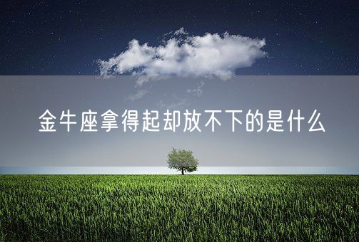 金牛座拿得起却放不下的是什么(图1)