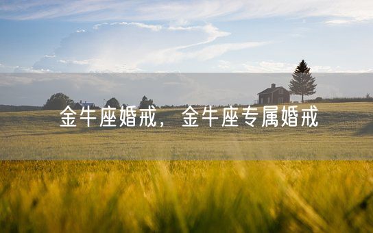 金牛座婚戒,金牛座专属婚戒(图1) 金牛座婚戒,金牛座专属婚戒(图1)